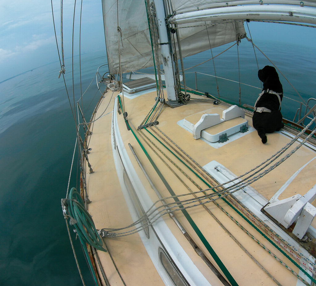 Stay Safe at Sea With a Custom Jackline System Meet Our Customers