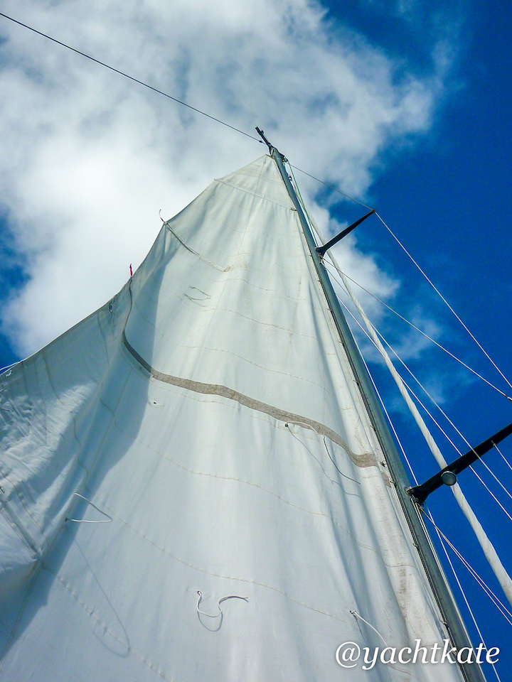 Sailrite & the Mainsail - Meet Our Customers